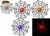 Light Up Spider on Web (Assorted)