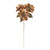 Golden Brown Poinsettia Spray