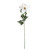 White Frosted Velvet Poinsettia Stem (70x20cm)