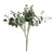 Green Frosted Eucalyptus (50cm x 30cm)