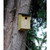Kingfisher Wooden Bird Nesting Box