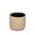 Brown Hortus Linea Pot (11.5 x 10.5cm)