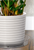 Clear Economy Plastic Plant Saucer (16 Inch)