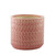 Hortus Salmon Pink Gosford Pot (19cm H x 21cm Dia)