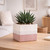 Hortus Pink & White Bordeaux Stoneware Cube (12.5cm H x 12.5cm W)