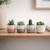Hortus Pink & White Hortus Stoneware Pot (6.5cm H x 7cm Dia)