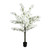 Essential White Blossom Tree (160cm)