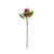 Red Large Protea (65cm)
