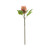 Pink Large Protea (65cm)