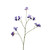 Botanica Purple Iris Spray (105cm)