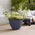 Millstone Grey Plastic Low Honey Pot (50cm Dia)
