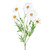 White Daisy Spray (66cm)