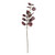 Burgundy Eucalyptus Spray (75cm)