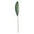 Aspidistra Spray (130cm)