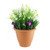 Starflower & Snowdrop Patio Planter 