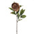 Caramel Amelia Peony Stem (63cm)