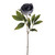 Light Grey Amelia Peony Stem (63cm)