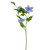 Pale Blue Elsa Clematis (79cm)