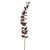 Burgundy Eucalyptus Stem (87cm)