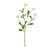 Cream Forget-Me-Not Spray (49cm)