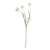 Cream Daffodil Spray (70cm)