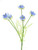 Blue Nigella Spray (57cm)