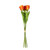 Essential Orange Small Parrot Tulip Bunch (6 Stems)