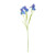 Blue Iris Spray (60cm)
