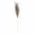 Luxury Pampas Olive Green 