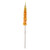 Orange Single Foxtail Lily (109cm)