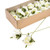 Cream Wired Roses (48 Pieces)