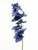 Blue Mood Dark Orchid (91cm)
