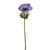 Light Purple Anemone Single Stem (35cm)