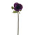 Purple Olivia Anemone Stem (38cm)