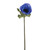 Blue Olivia Anemone Stem (38cm)