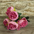 Arundel Peony Bush Lilac 
