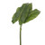 Green Anthurium Leaf Bundle (33cm)