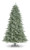 Timberline Pine Tree (1152 Tips) (6ft)