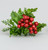 Eucalyptus, Holly & Berry Pick (23cm)