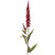 Red Amelia Veronica (75Cm)