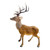 Realistic Standing Stag Figure (160cm H)