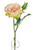 Peach Lydia Cabbage Rose Spray