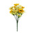 Pembroke Yellow Anemones Mixed Bush (12 Stems)
