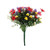 Pembroke Red Wild Daisy Bush (x12 Stems)
