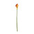 Botanica Mango Calla Lily (60cm)