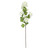 White Botanica Viburnum Opulus (87cm)