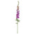 Botanica Giant Violet Delphinium (137cm)