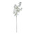 Jasmine Flower Stem
