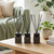 Aventi Reed Diffuser Set (3 x 50ml)