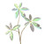 Iridescent Fatten Leaf Stem Pick (66cm)